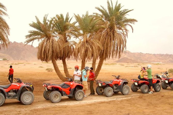  Dahab (Super Safari & Beach Trip)