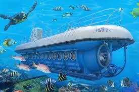 Excursion Dahab ( Submarine Trip )