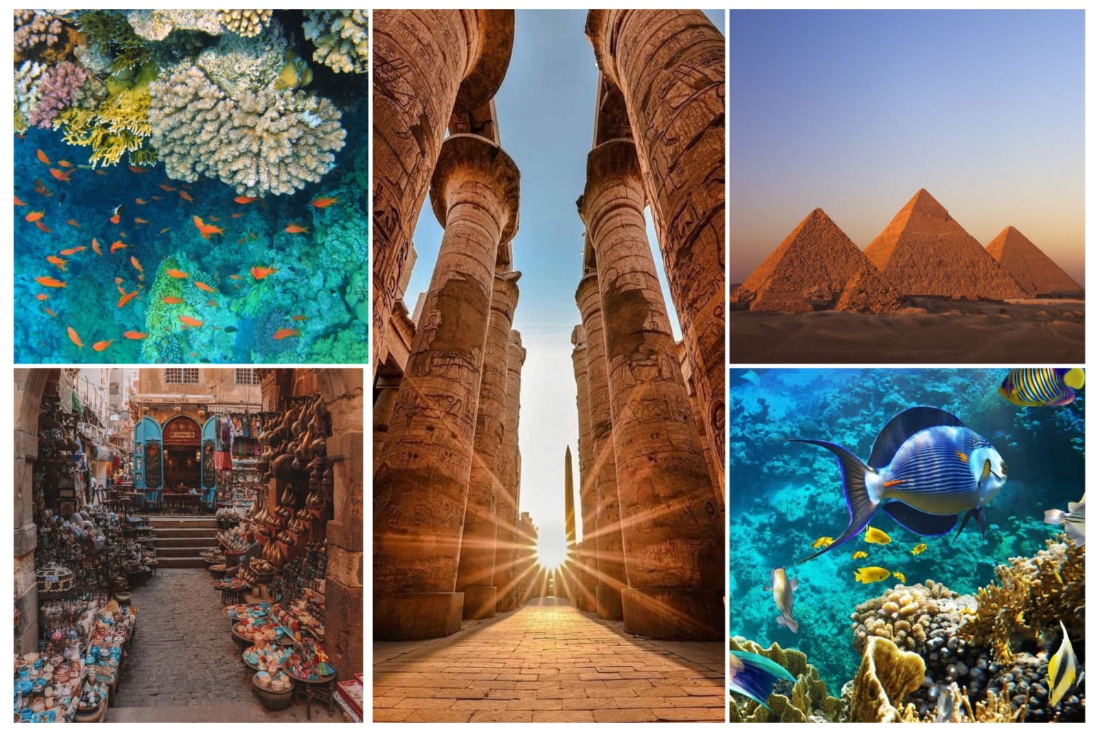 Luxury Cairo,Hurghada&Luxor by flight for 7D(EG17)